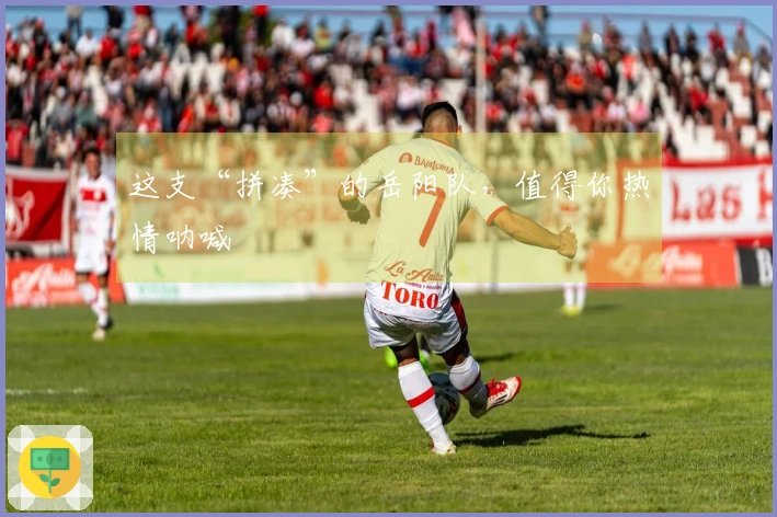 这支“拼凑”的岳阳队，值得你热情呐喊